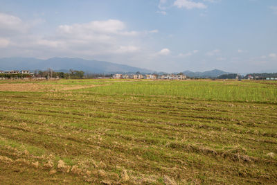 landscape