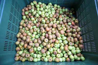 High angle view of fruits for sale