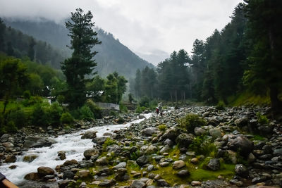 Scenic view of river in forest against sky