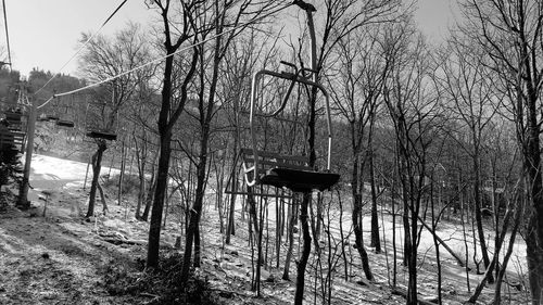 Bare trees against sky