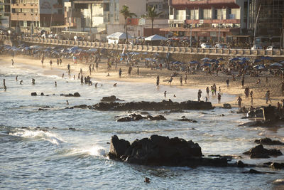  view from the top of praia da barra in the city of salvador, bahia.