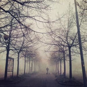 Silhouette of people walking on road