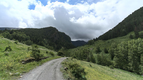Road amidst green landscape against sky