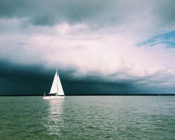 Sailboat sailing in sea