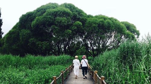 Rear view of people standing amidst plants