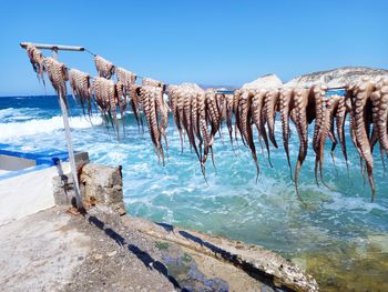 Scenic view of sea against clear blue sky