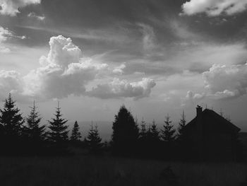 Trees on field against cloudy sky