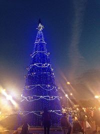 Low angle view of illuminated christmas tree