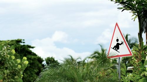 Close-up of road sign against plants