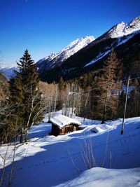 Snow covered plants and mountains against sky