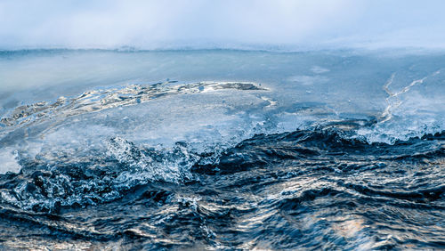 Close-up of sea shore