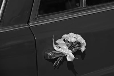 Close-up of rose on window