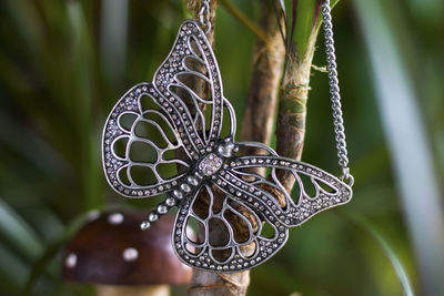 Close-up of butterfly on plant