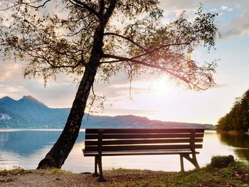 Empty bench at autumn mountain lake. coast under bended tree, mountains at horizon.