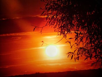 Silhouette tree against sky during sunset