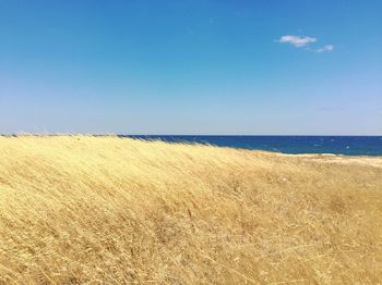 Scenic view of beach against clear blue sky