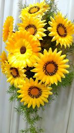 Close-up of fresh sunflower blooming outdoors