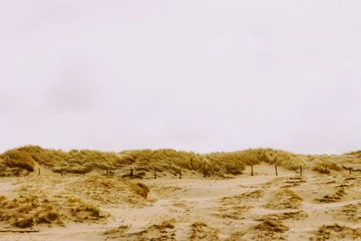 Scenic view of beach against clear sky during winter