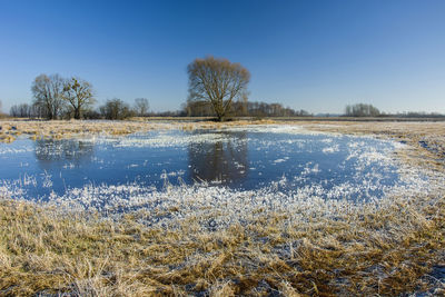 Scenic view of lake against clear sky during winter