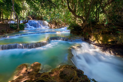 Scenic view of waterfall in forest