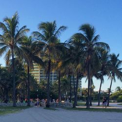 People relaxing in park