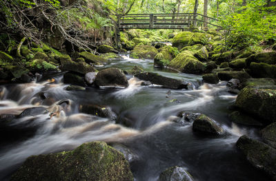 Stream flowing through rocks in forest