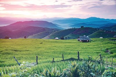 Scenic view of field against sky during sunset