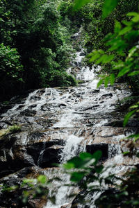 Scenic view of waterfall