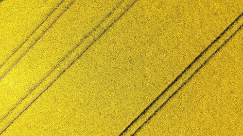 Aerial view of agricultural field