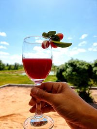 Close-up of hand holding drink