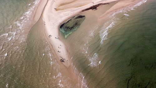 High angle view of surf on beach