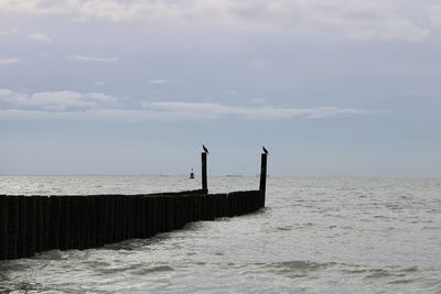 Seagull perching on wooden post in sea against sky