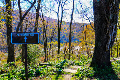 Information sign on tree trunk in forest