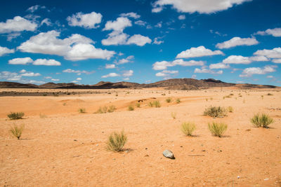 Scenic view of desert against sky