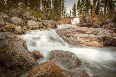 Scenic view of waterfall in forest against sky