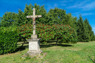 Cross against trees
