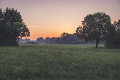 Scenic view of field against sky during sunset