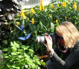 Full length portrait of woman holding plants