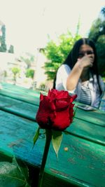 Close-up of red rose on leaf