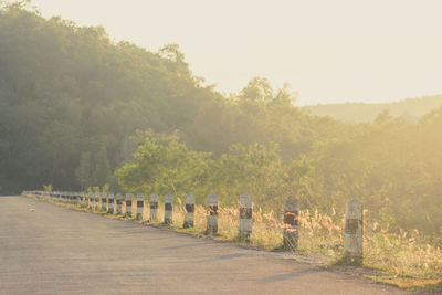 Scenic view of cemetery against sky