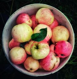 High angle view of apples in bowl