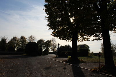 Silhouette trees on road against sky