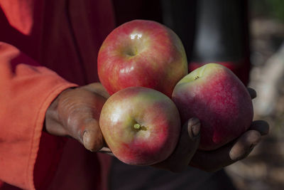 Close-up of hand holding apple