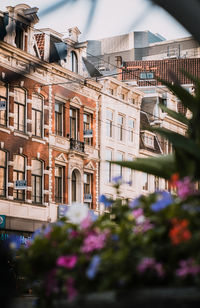 Buildings in city