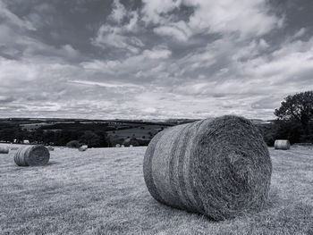 Black and white monochrome hay bales