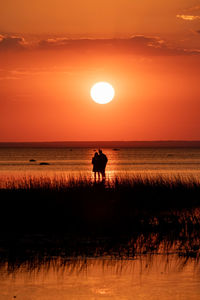 Silhouette of horse on beach against sky during sunset