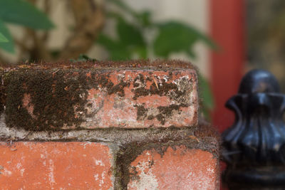 Close-up of rusty metal against wall