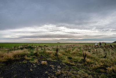 Scenic view of field against sky