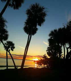 Silhouette palm trees on beach against sky during sunset