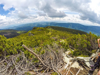 Scenic view of landscape against sky